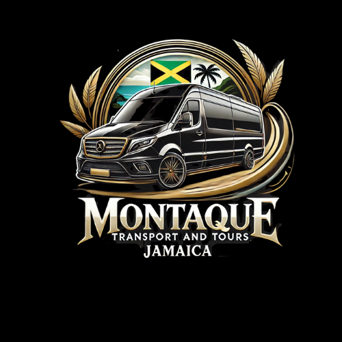 Montaque Transport & Tours